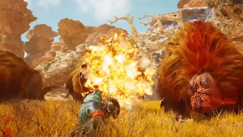 怪物猎人怎么跟随怪物