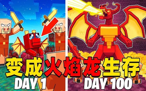 我的世界上怎么做火龙[图2]