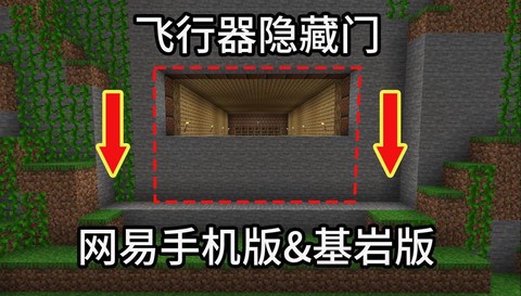 我的世界怎么隐藏门[图1]