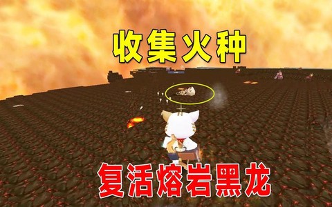 迷你世界火种是什么