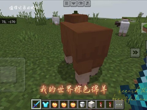 我的世界中羊吃什么[图2]