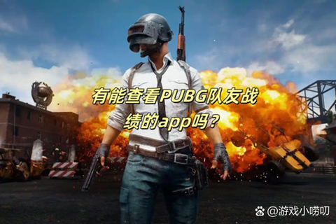 绝地求生死了怎么切换队友视角[图2]