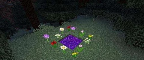 我的世界时空之门怎么做[图2]