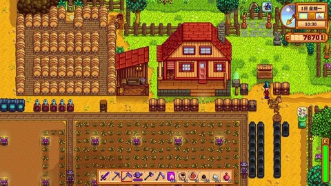 星露谷物语夏季种什么