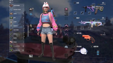 绝地求生该捡什么枪