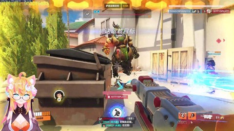 守望先锋怎么玩澳服[图2]