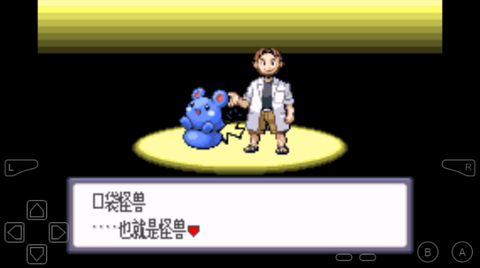 口袋妖怪红宝石图1