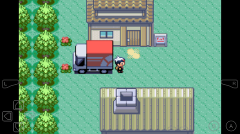 口袋妖怪红宝石图2