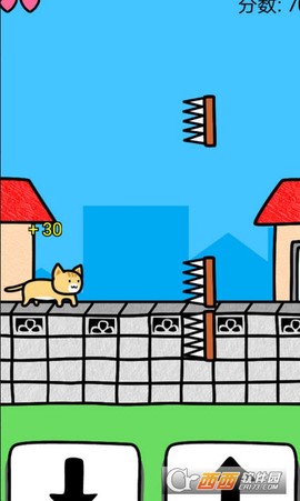 和猫咪一起玩图1