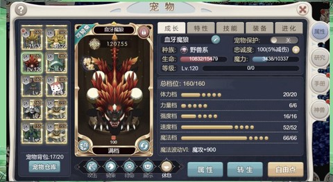 口袋魔域血族带什么宝宝[图2]