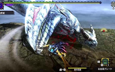 怪物猎人x白疾风怎么打