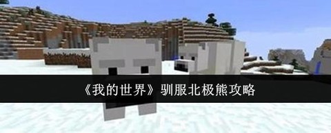 我的世界北极熊怎么驯服[图1]