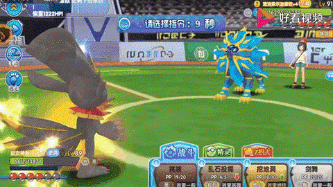 口袋妖怪日月怎么照料