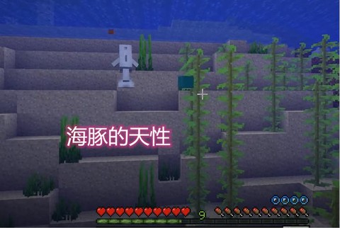 我的世界海豚怎么骑