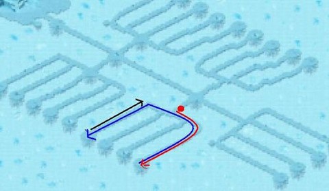 魔域冰封走廊怎么走[图2]