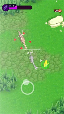 动物进化挑战[图1]