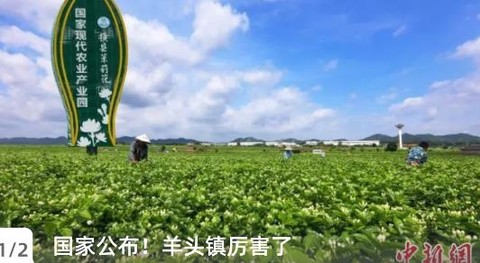 平桂融媒[图1]