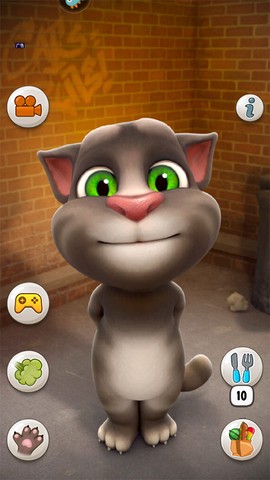 会说话的汤姆猫[图1]