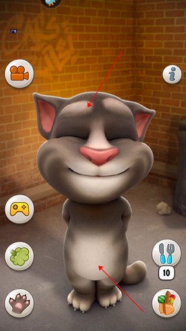 会说话的汤姆猫[图2]