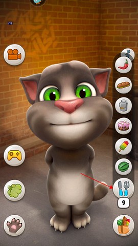 会说话的汤姆猫[图5]