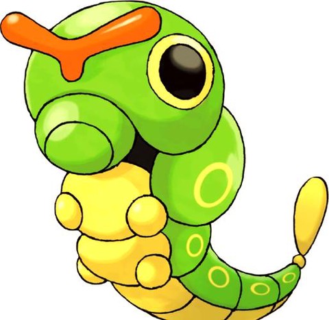 口袋妖怪什么克虫系