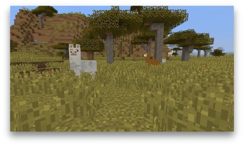 qq飞车羊驼怎么骑