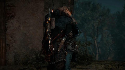 刺客信条英灵殿怎么抓猫