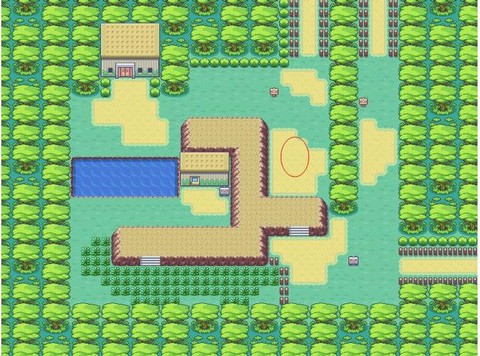 口袋妖怪船票怎么用