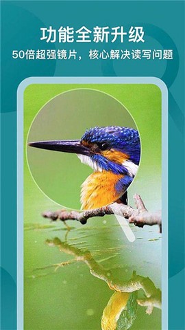 一点放大镜[图1]