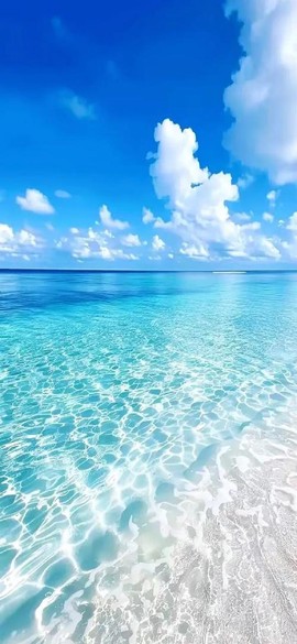 手机桌面主题[图2]