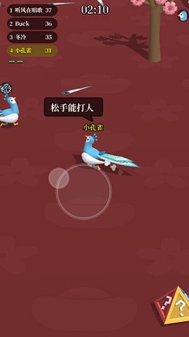 孔雀拔毛大赛[图3]