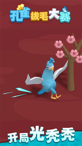 孔雀拔毛大赛图2
