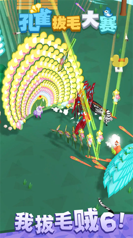 孔雀拔毛大赛图3