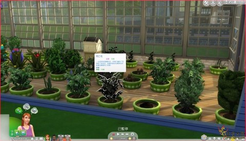 模拟人生4如何栽培[图2]