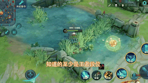 王者荣耀怎么克猴子