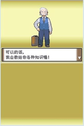 口袋妖怪白金图2