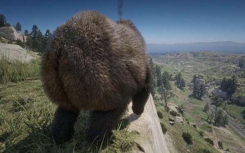 荒野大镖客怎么扑倒