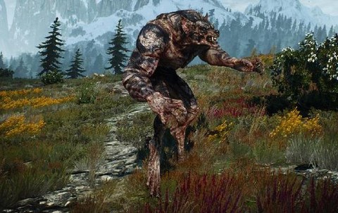 巫师3狼人无限回血怎么杀[图1]