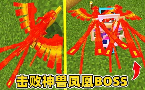 我的世界凤凰吃什么[图2]