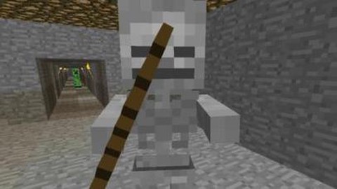 我的世界骷髅头颅有什么用[图2]