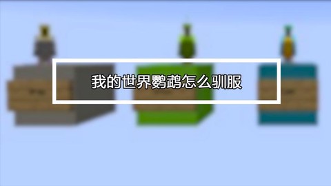 我的世界怎么驯服鹦鹉