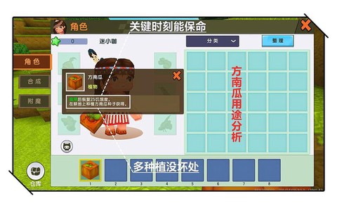 迷你世界方西瓜怎么种