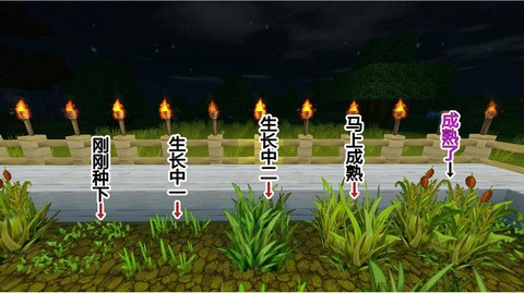 迷你世界怎么得骨粉[图2]