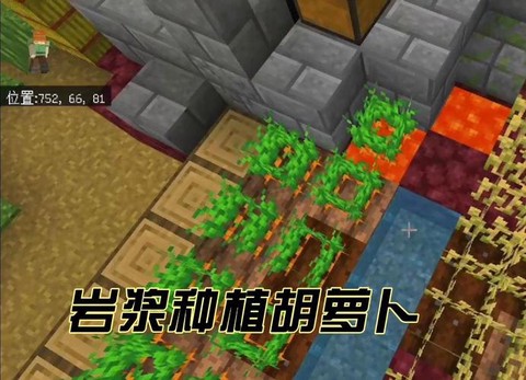 我的世界胡萝卜怎么得