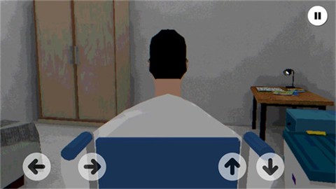 皮卡布：宁静的夜晚图1