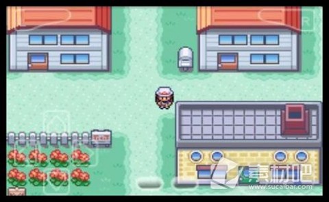 口袋妖怪火红作弊码图2