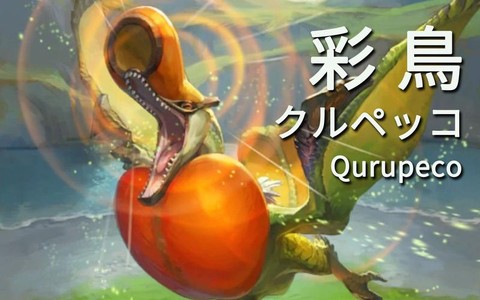 怪物猎人p3彩鸟怎么打