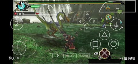 怪物猎人p3彩鸟怎么打[图2]