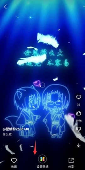 壁纸多多纯净版[图3]