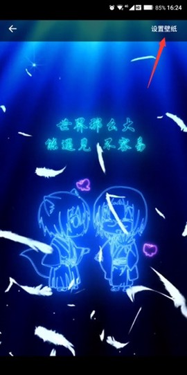 壁纸多多纯净版[图5]